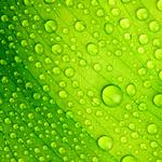 Sealants