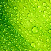 Sealants and Adhesives